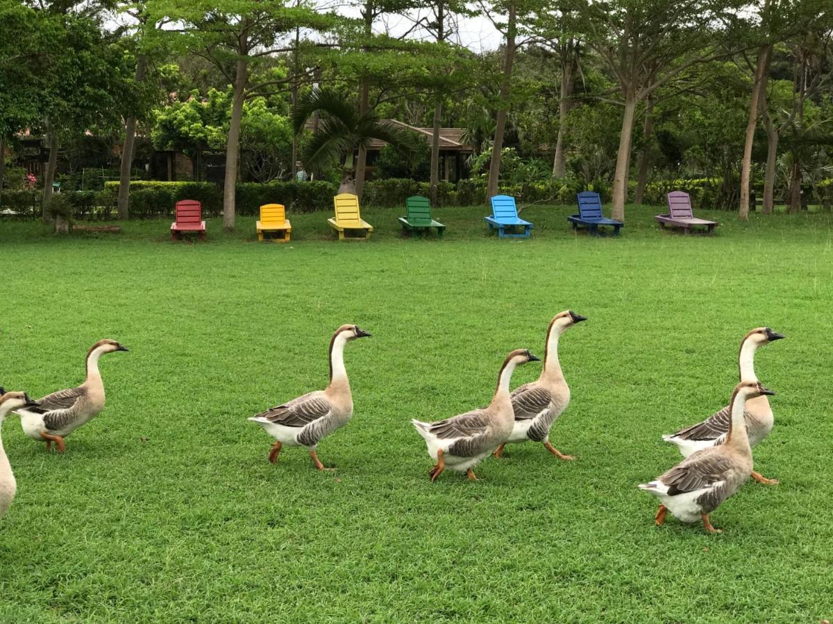 ケンティング トスカーナ リゾート 墾丁 エクステリア 写真